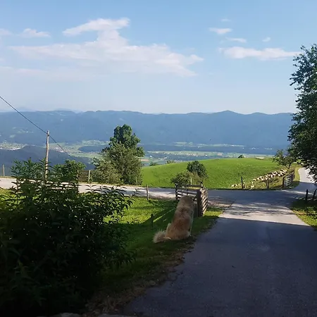 Daire Skala With Magnificent View Recica ob Savinji