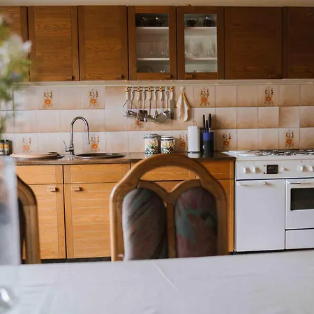 Apartment Skala With Magnificent View Recica ob Savinji