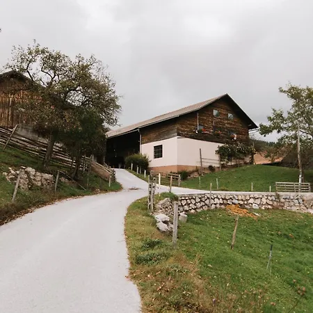 Skala With Magnificent View Apartment Recica ob Savinji