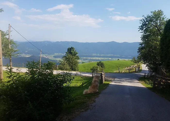 アパート Skala With Magnificent View Rečica ob Savinji